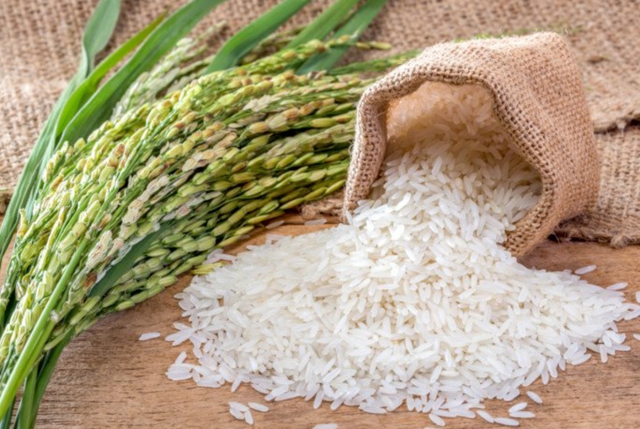 На Кубани заканчиваются запасы риса-сырца