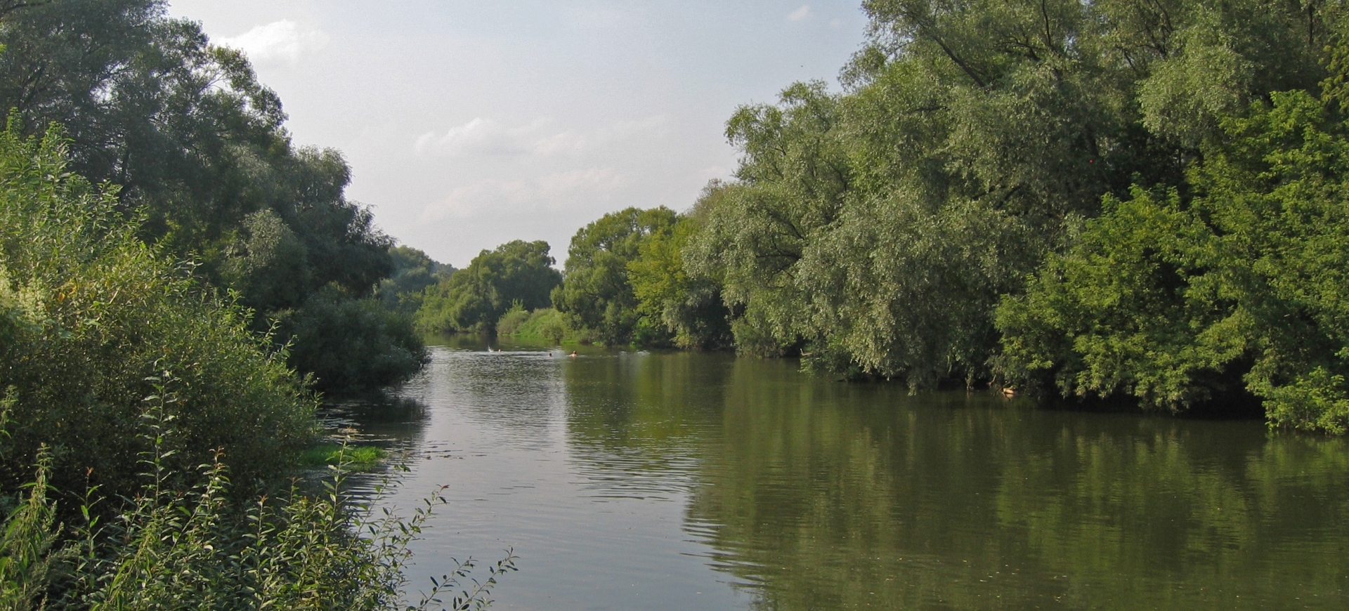 река протва все