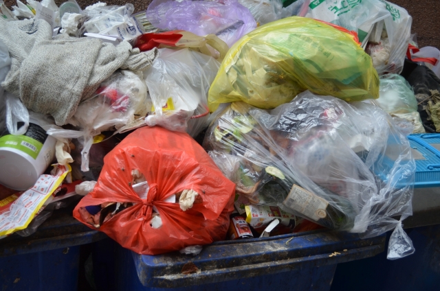 В Курганской области обещают повышение стоимости вывоза мусора