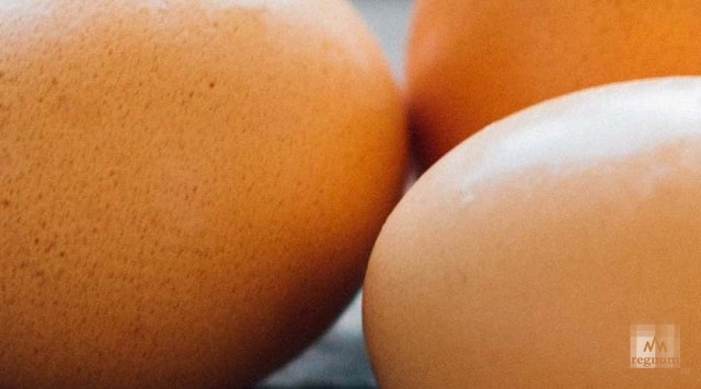 Яйцеголовые теоретики