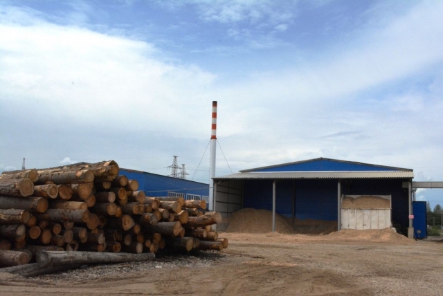 В Костромской области создается крупный лесопромышленный комплекс