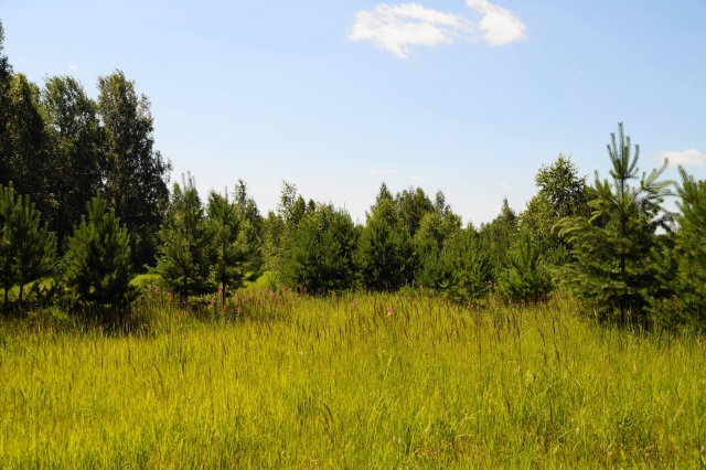 Власти Ярославской области изъяли три брошенных участка сельхозземель