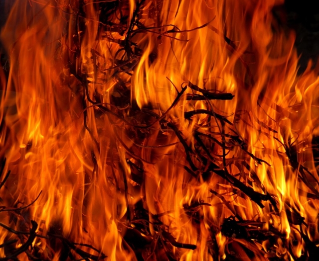 Пожар в лесу 