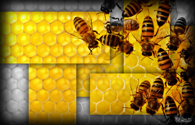 По факту массовой гибели пчёл в Орловской области возбуждено уголовное дело