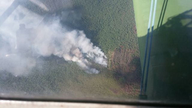 Лесной пожар в Приангарье