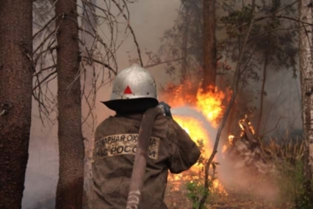 Тушение лесного пожара 