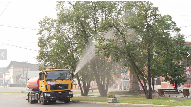 Помывка крон деревьев в затянутом смогом Барнауле
