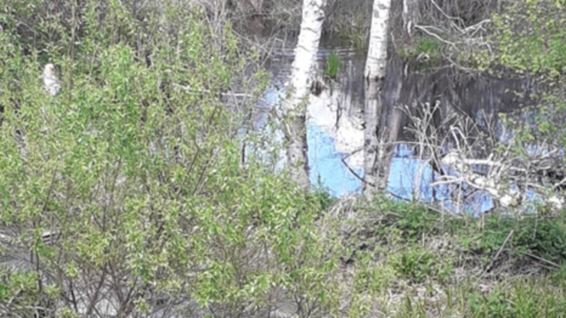 В Тюменской области приступили к очистке загубленной реки