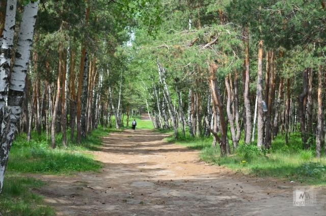 В Ростовской области из-за угрозы пожаров продлён запрет на посещение лесов