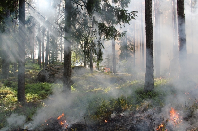 В Ростовской области сохраняется чрезвычайная пожароопасность — МЧС