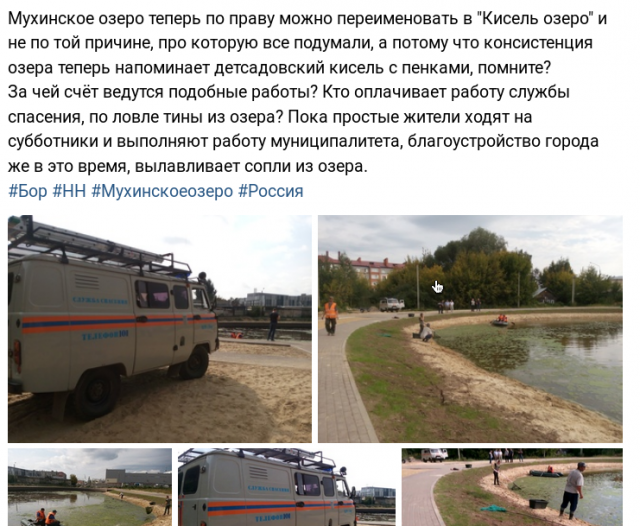 «Самое дорогое болото России»: экоскандал в Нижегородской области