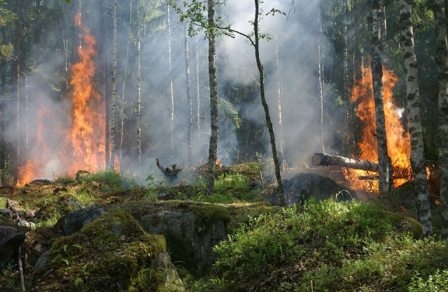 Обстановка с природными пожарами в Приангарье остаётся напряжённой