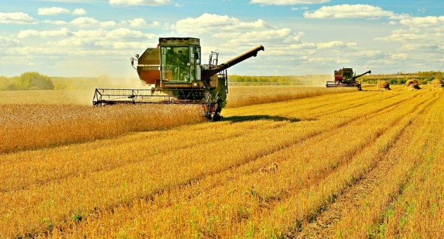 В Южной Осетии завершаются работы по сбору зерновых