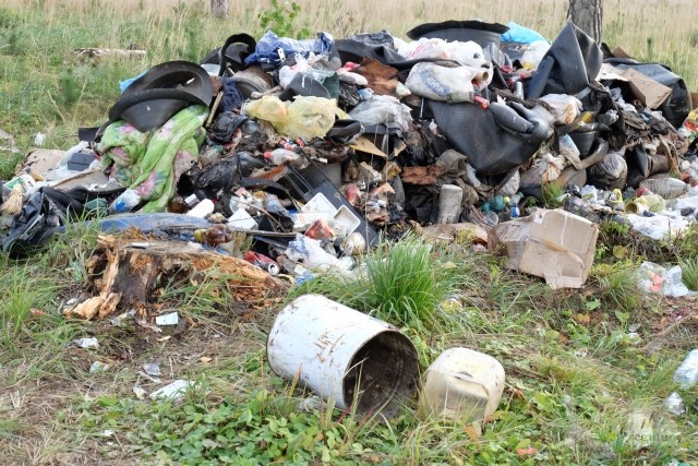 Более 80 мусорных свалок ликвидировали на Ставрополье за полтора года