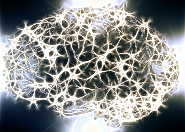 Выращенный человеческий мозг стал проявлять нейронную активность – ученые