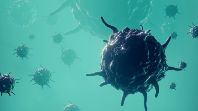 ВОЗ: новый вирус может убить 80 млн человек за 36 часов