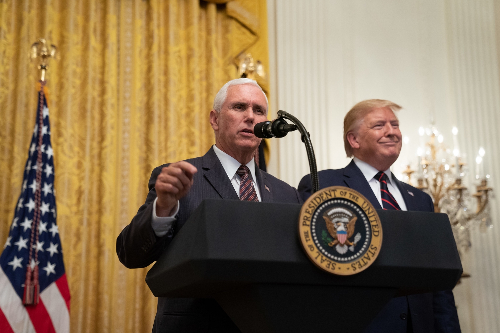Трамп использовал Пенса для давления на Зеленского – СМИ - ИА REGNUM