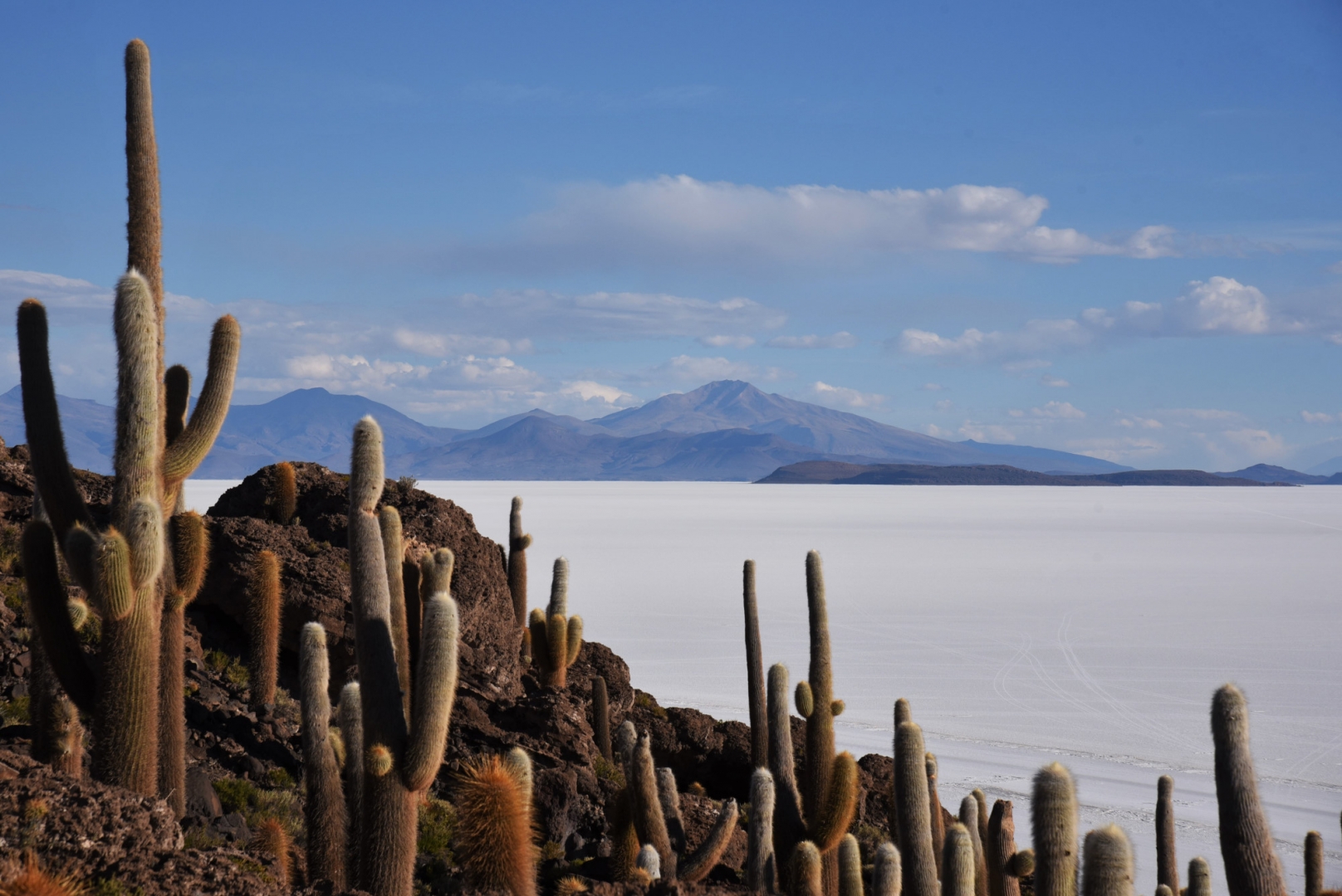 Остров Инкауаси – остров кактусов, находится в центральной части Соляр-де-Уюни. Когда-то остров являлся вершиной древнего вулкана и находился под водой. Остров Инкауаси, Боливия