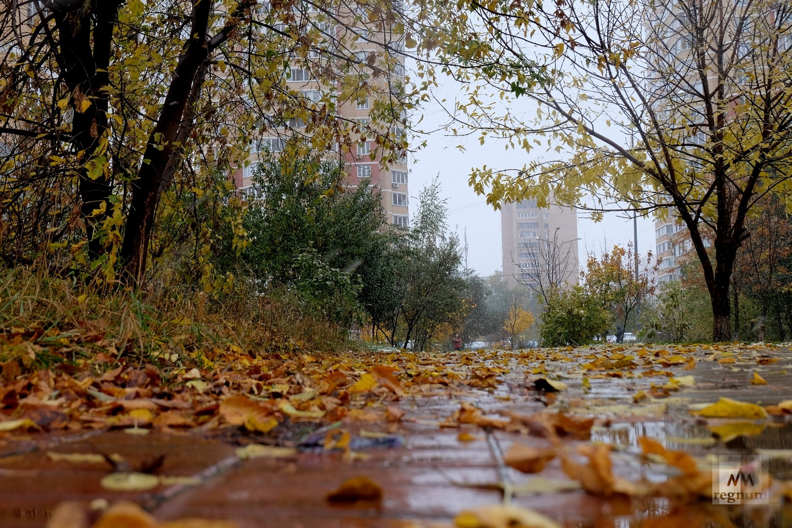 Октябрь в Москве