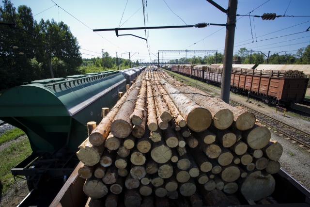 Иркутская таможня выявила махинации с экспортом леса на 228 млн рублей