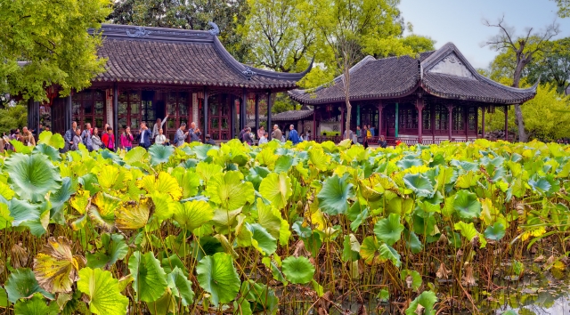 Сад в Китае