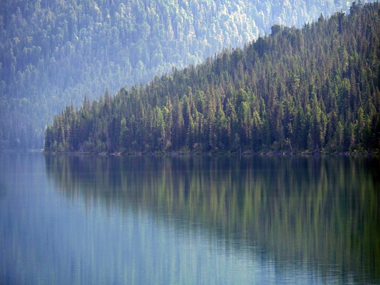 Тайменье озеро Алтай