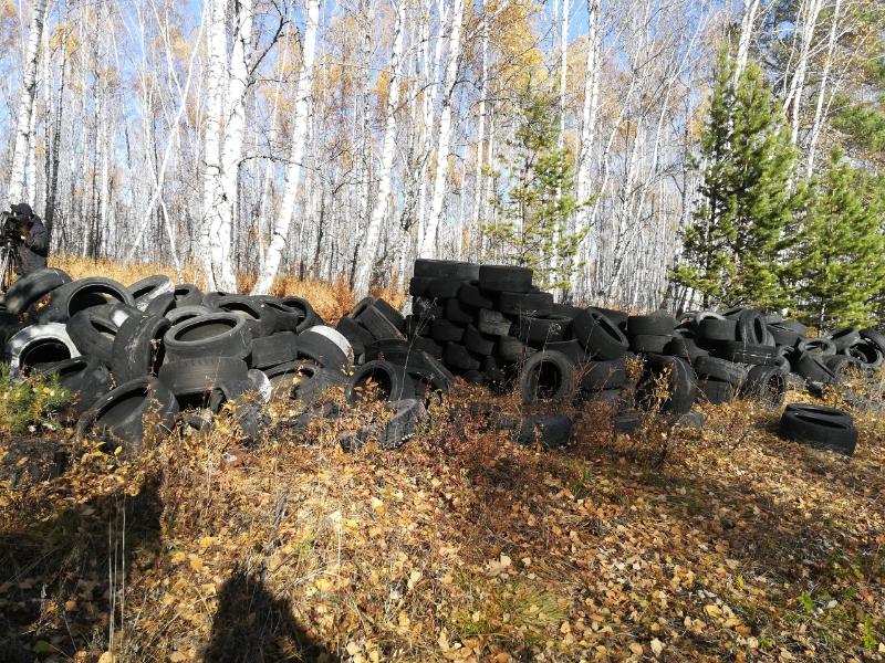 Полигон Красноярск Официальный Сайт Магазин