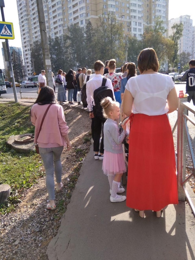 Очередь на пешеходный переход в Красногорске