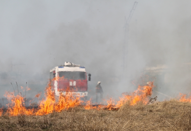 Травяные пожары на Алтае