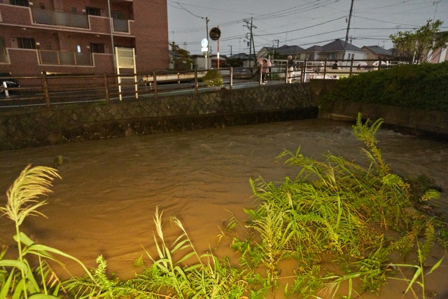 США выразили соболезнования Японии из-за тайфуна «Хагибис»