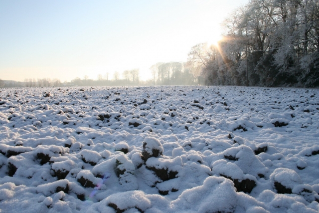 К концу недели в Екатеринбурге ожидается снег и гололёд