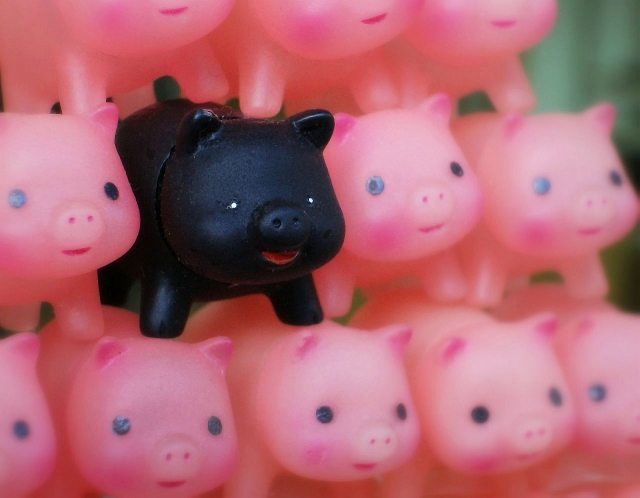 Экономика Китая начнет оправляться от чумы свиней уже в 2020 году