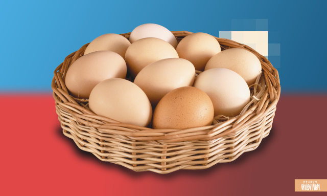 Эксперты подсчитали количество съеденных жителями России яиц