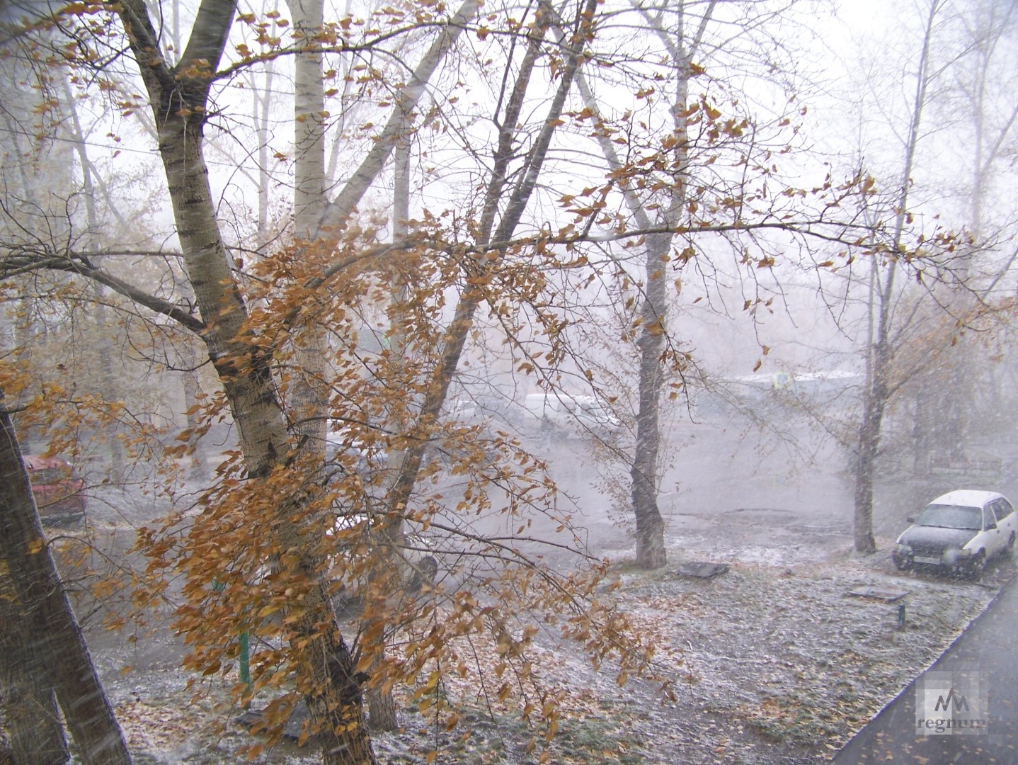 Ноябре выпадет снег. Снежная буря Барнаул. Первый снег Барнаул. В Барнауле выпал снег. Снегопад в Барнауле.