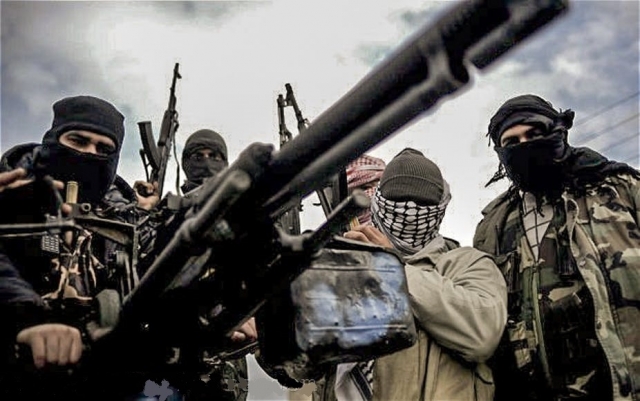 Шойгу предупредил об «обратной миграции» террористов из-за операции Турции