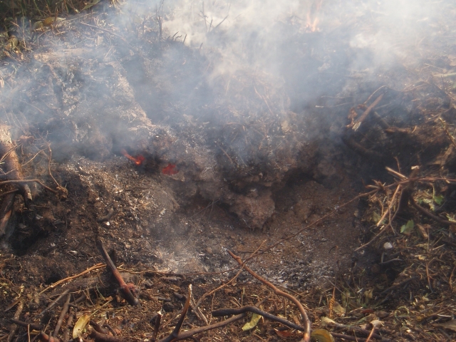 Под Киевом загорелись более 1,4 га торфяников — КГГА