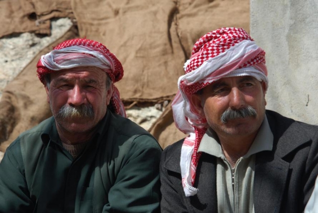 Нельзя отмахнуться от курдов, уповая на силу оружия, – депутат Госдумы