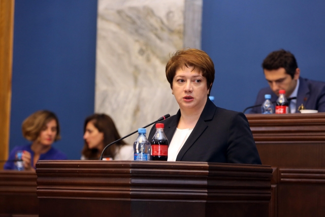 Цкитишвили выступила против открытой встречи в парламенте на тему Анаклии