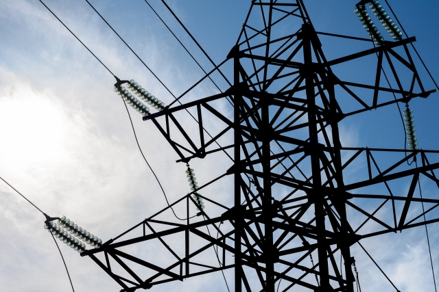 Названа доля российской электроэнергии в структуре потребления на Украине