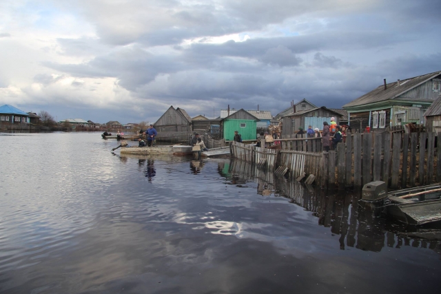 Редкая болезнь: массовое отравление в селе под Тобольском — трансляция