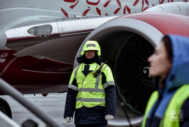 Авиарейс из Петербурга в Париж задержали из-за попадания птицы в двигатель