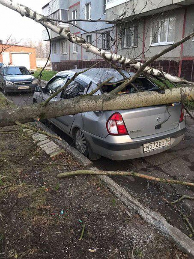 Буря ярославль сегодня. Ураган в Ярославле с 27 на 28 октября. Ураган в Ярославле. Последствия сильного ветра. Последствия сильного ветра Ярославль.