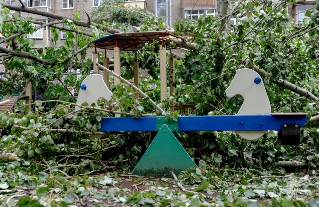 В Новгородской области ураган обесточил 17 школ и 22 детских сада