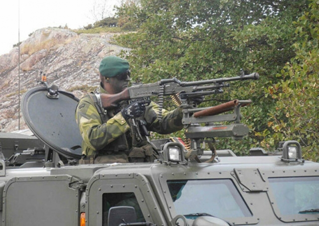 Солдат армии Швеции