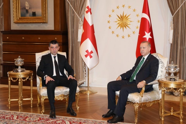 В Анкаре состоялась встреча президента Турции и премьера Грузии