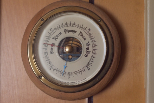 Жителей России предупредили об опасности аномального тепла в ноябре