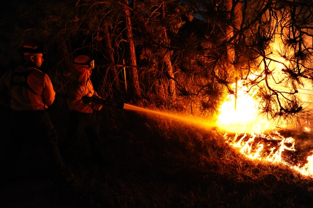 На Кубани локализовали три лесных пожара