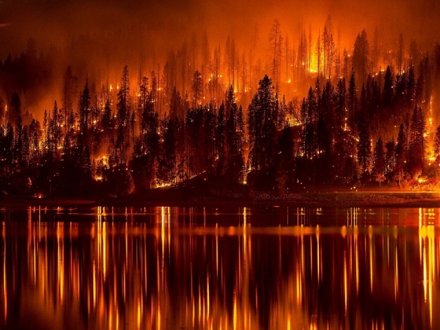Лесные пожары полыхают в трех районах Карачаево-Черкесии