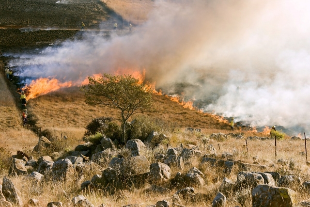 Режим ЧС введён из-за пожаров в Северском районе Кубани