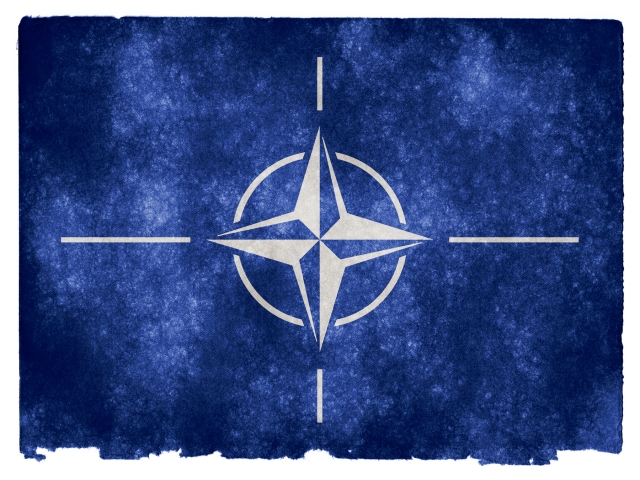Пушков: В НАТО назрели серьезные сдвиги